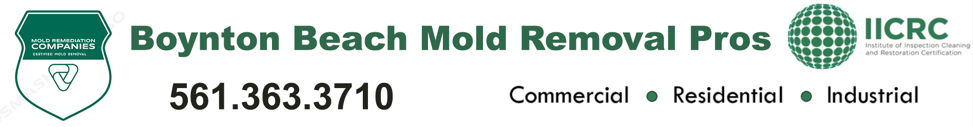 Boynton Beach Mold Removal Pros