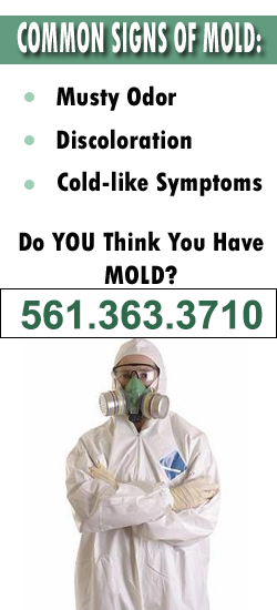 Boynton Beach Mold Remediation Contractor